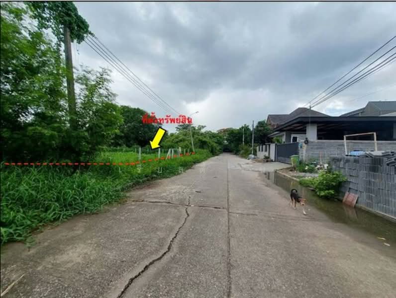 ขายถูกกว่าราคาประเมิน! ที่ดินสวย 125.7 ตร.ว. หมู่บ้านฟลอราวิลล์ พาร์ค ซิตี้, กรุงเทพ, ลำผักชี, หนองจอก, กรุงเทพ, 500 ตร.ม., ที่ดิน ขาย, โดย เรียลตี้ วัน, 500303531 - DDproperty.com