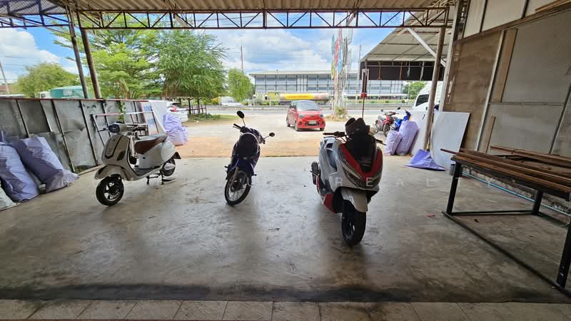 อาคารพาณิชย์ 3 ชั้นครึ่ง 2คูหา ติดถนนเพชรเกษม-โพธาราม, ราชบุรี, เพชรเกษม-โพธาราม, บ้านสิงห์, โพธาราม, ราชบุรี, 200 ตร.ม., ตึกแถว-อาคารพาณิชย์ ขาย, โดย HOMEPLUS REALTY - คุณจ๋า, 500303563 - DDproperty.com