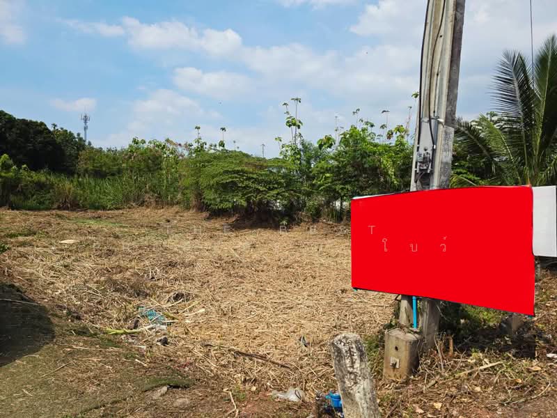 ที่ดินบางกรวย นนทบุรี, Nonthaburi, Bang Kruai, Bang Kruai, Nonthaburi, , 580 sqm, Land For Sale, by The Best Property โบว์, 500303598 - DDproperty.com
