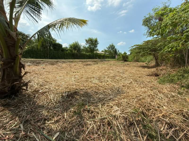 ที่ดินบางกรวย นนทบุรี, Nonthaburi, Bang Kruai, Bang Kruai, Nonthaburi, , 580 sqm, Land For Sale, by The Best Property โบว์, 500303598 - DDproperty.com