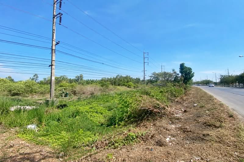ถนนเพชรเกษม เมืองราชบุรี, Ratchaburi, ถนนเพชรเกษม, Tha Rap, Muang Ratchaburi, Ratchaburi, , 72,916 sqm, Land For Sale, by คุณเอ, 500303599 - DDproperty.com