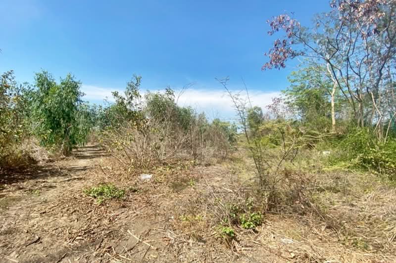 ถนนเพชรเกษม เมืองราชบุรี, Ratchaburi, ถนนเพชรเกษม, Tha Rap, Muang Ratchaburi, Ratchaburi, , 72,916 sqm, Land For Sale, by คุณเอ, 500303599 - DDproperty.com