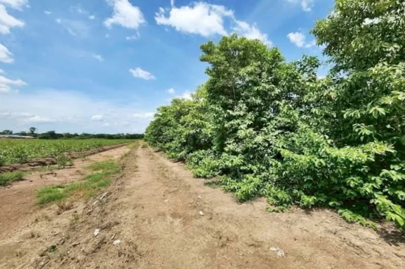 ถนนเพชรเกษม เมืองราชบุรี, Ratchaburi, ถนนเพชรเกษม, Tha Rap, Muang Ratchaburi, Ratchaburi, , 72,916 sqm, Land For Sale, by คุณเอ, 500303599 - DDproperty.com