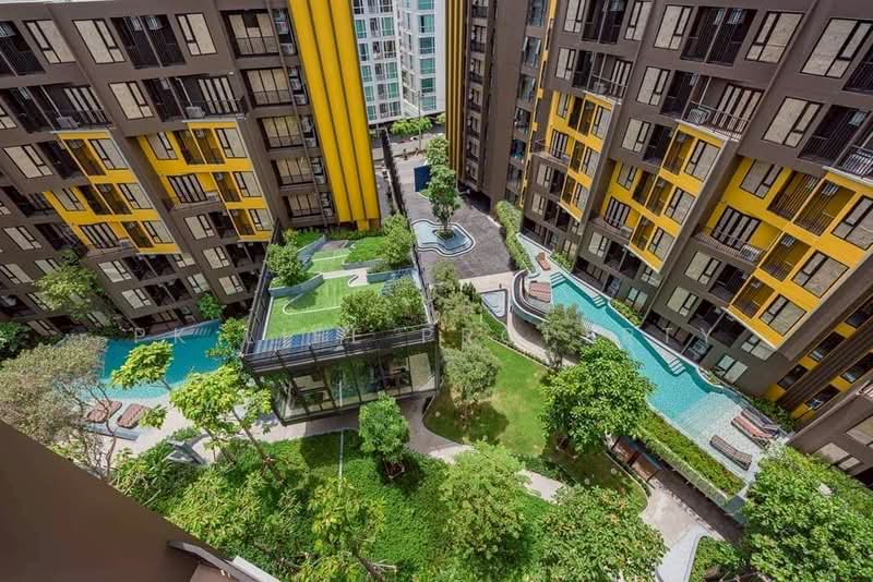 The Base Central, Phuket, Chao Fah Tawan Tok Rd, Wichit, Muang Phuket, Phuket, 1 Bedroom, 26 sqm, Condo For Rent, by PK LIFE Property, 500303632 - DDproperty.com