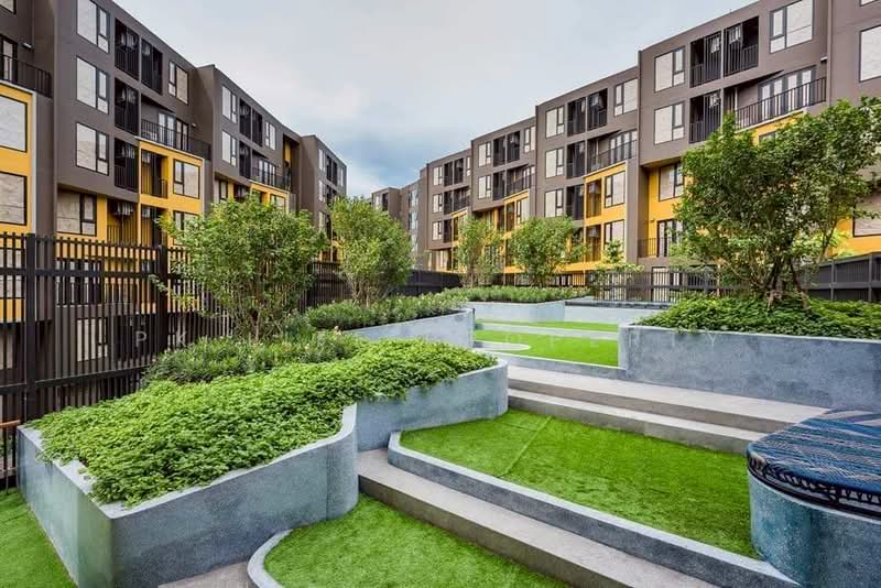 The Base Central, Phuket, Chao Fah Tawan Tok Rd, Wichit, Muang Phuket, Phuket, 1 Bedroom, 26 sqm, Condo For Rent, by PK LIFE Property, 500303632 - DDproperty.com