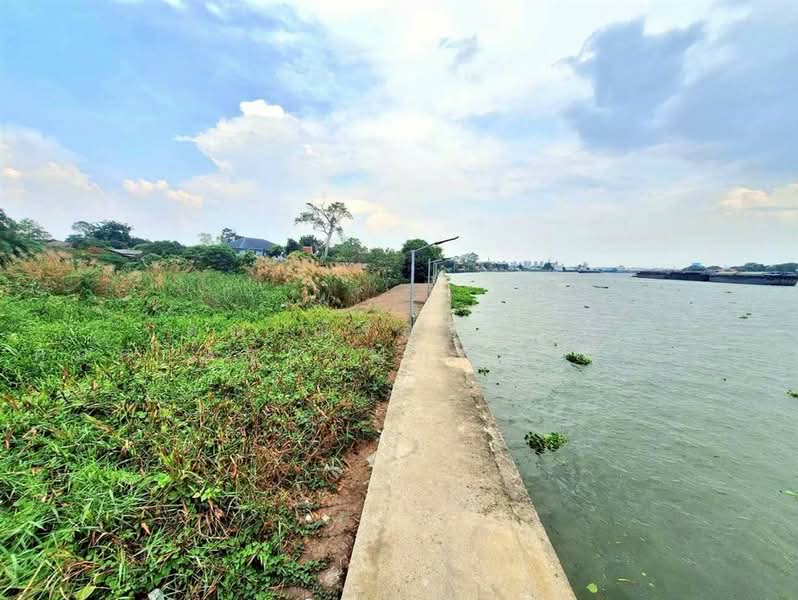 ที่ดินเปล่า 1463.9 ตร.ว. ที่ดินติดแม่น้ำเจ้าพระยา เมืองปทุมธานี ใกล้วัดเทียนถวาย ถนนบางบัวทอง-บางพูน, ปทุมธานี, ถนนบางบัวทอง-บางพูน, บ้านใหม่, เมืองปทุมธานี, ปทุมธานี, 5,852 ตร.ม., ที่ดิน ขาย, โดย คุณ ณัจภสิญาค์ ศุภควัษฐ์กาญกุล (ณิชชา), 500303636 - DDproperty.com