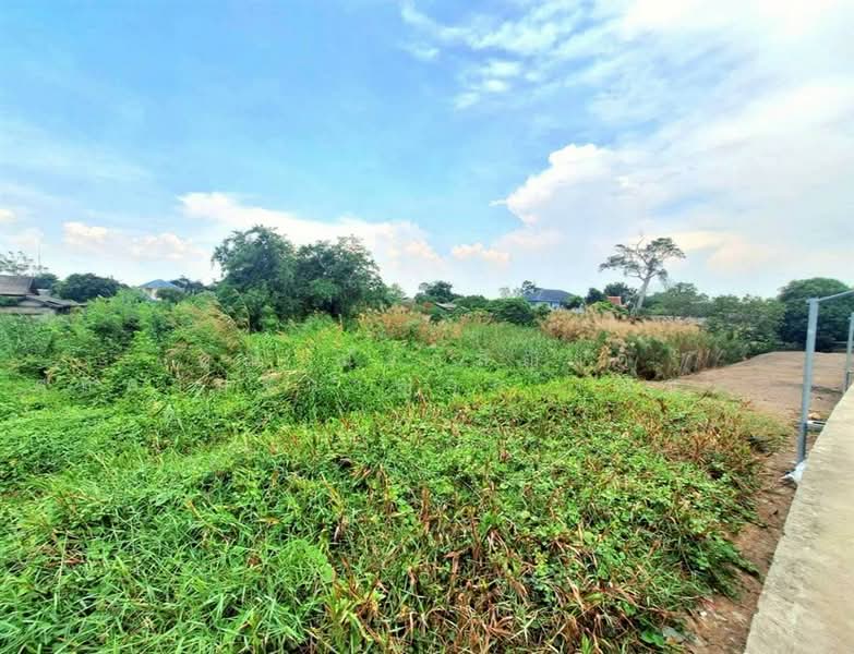 ที่ดินเปล่า 1463.9 ตร.ว. ที่ดินติดแม่น้ำเจ้าพระยา เมืองปทุมธานี ใกล้วัดเทียนถวาย ถนนบางบัวทอง-บางพูน, Pathum Thani, ถนนบางบัวทอง-บางพูน, Ban Mai, Muang Pathum Thani, Pathum Thani, , 5,852 sqm, Land For Sale, by คุณ ณัจภสิญาค์ ศุภควัษฐ์กาญกุล (ณิชชา), 500303636 - DDproperty.com