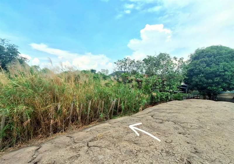 ที่ดินเปล่า 1463.9 ตร.ว. ที่ดินติดแม่น้ำเจ้าพระยา เมืองปทุมธานี ใกล้วัดเทียนถวาย ถนนบางบัวทอง-บางพูน, Pathum Thani, ถนนบางบัวทอง-บางพูน, Ban Mai, Muang Pathum Thani, Pathum Thani, , 5,852 sqm, Land For Sale, by คุณ ณัจภสิญาค์ ศุภควัษฐ์กาญกุล (ณิชชา), 500303636 - DDproperty.com