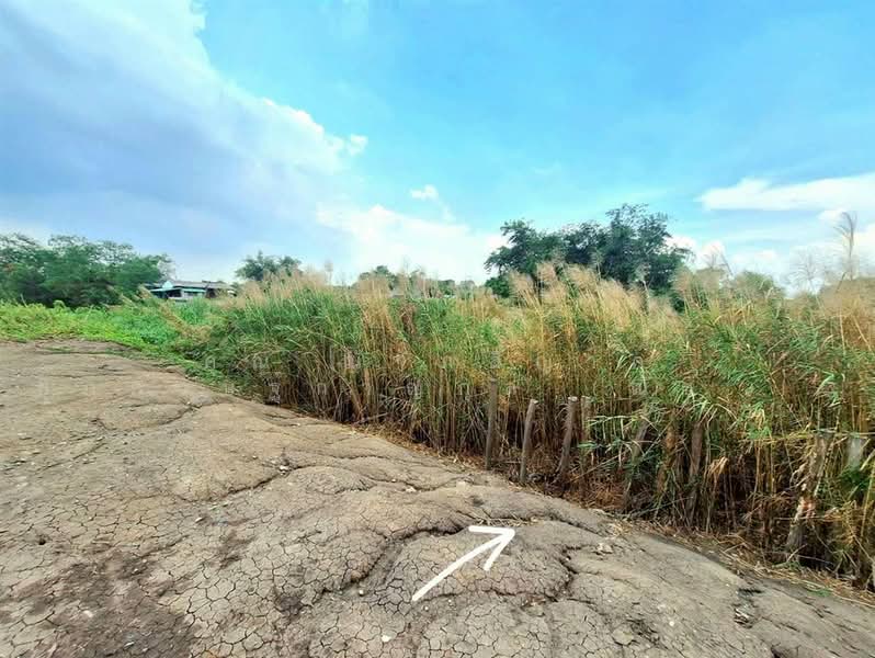ที่ดินเปล่า 1463.9 ตร.ว. ที่ดินติดแม่น้ำเจ้าพระยา เมืองปทุมธานี ใกล้วัดเทียนถวาย ถนนบางบัวทอง-บางพูน, ปทุมธานี, ถนนบางบัวทอง-บางพูน, บ้านใหม่, เมืองปทุมธานี, ปทุมธานี, 5,852 ตร.ม., ที่ดิน ขาย, โดย คุณ ณัจภสิญาค์ ศุภควัษฐ์กาญกุล (ณิชชา), 500303636 - DDproperty.com