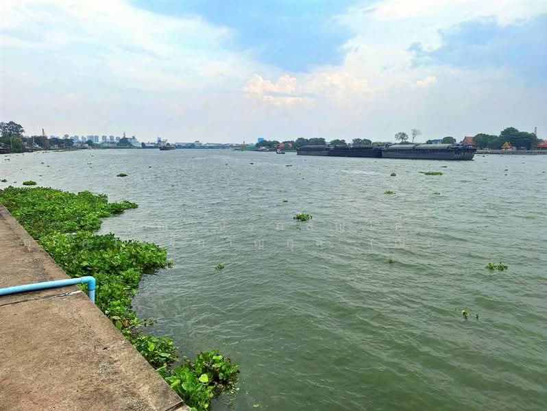 ที่ดินเปล่า 1463.9 ตร.ว. ที่ดินติดแม่น้ำเจ้าพระยา เมืองปทุมธานี ใกล้วัดเทียนถวาย ถนนบางบัวทอง-บางพูน, Pathum Thani, ถนนบางบัวทอง-บางพูน, Ban Mai, Muang Pathum Thani, Pathum Thani, , 5,852 sqm, Land For Sale, by คุณ ณัจภสิญาค์ ศุภควัษฐ์กาญกุล (ณิชชา), 500303636 - DDproperty.com