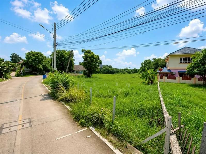 ที่ดินเปล่า 1463.9 ตร.ว. ที่ดินติดแม่น้ำเจ้าพระยา เมืองปทุมธานี ใกล้วัดเทียนถวาย ถนนบางบัวทอง-บางพูน, ปทุมธานี, ถนนบางบัวทอง-บางพูน, บ้านใหม่, เมืองปทุมธานี, ปทุมธานี, 5,852 ตร.ม., ที่ดิน ขาย, โดย คุณ ณัจภสิญาค์ ศุภควัษฐ์กาญกุล (ณิชชา), 500303636 - DDproperty.com