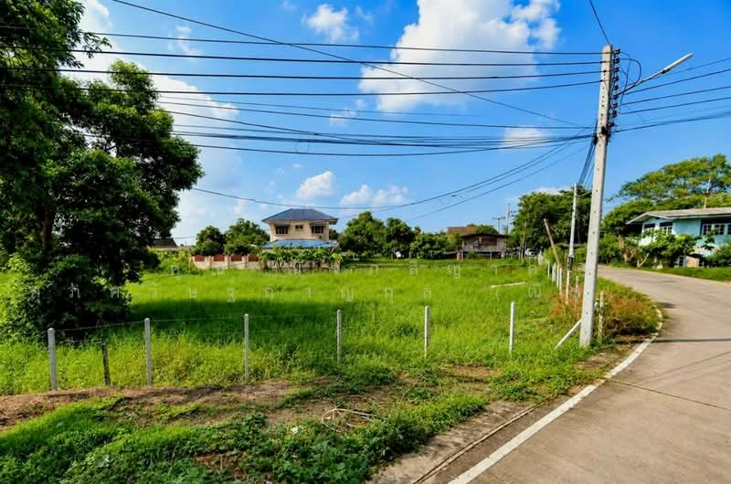 ที่ดินเปล่า 1463.9 ตร.ว. ที่ดินติดแม่น้ำเจ้าพระยา เมืองปทุมธานี ใกล้วัดเทียนถวาย ถนนบางบัวทอง-บางพูน, Pathum Thani, ถนนบางบัวทอง-บางพูน, Ban Mai, Muang Pathum Thani, Pathum Thani, , 5,852 sqm, Land For Sale, by คุณ ณัจภสิญาค์ ศุภควัษฐ์กาญกุล (ณิชชา), 500303636 - DDproperty.com