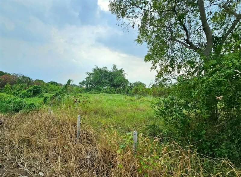 ที่ดินเปล่า 1463.9 ตร.ว. ที่ดินติดแม่น้ำเจ้าพระยา เมืองปทุมธานี ใกล้วัดเทียนถวาย ถนนบางบัวทอง-บางพูน, ปทุมธานี, ถนนบางบัวทอง-บางพูน, บ้านใหม่, เมืองปทุมธานี, ปทุมธานี, 5,852 ตร.ม., ที่ดิน ขาย, โดย คุณ ณัจภสิญาค์ ศุภควัษฐ์กาญกุล (ณิชชา), 500303636 - DDproperty.com