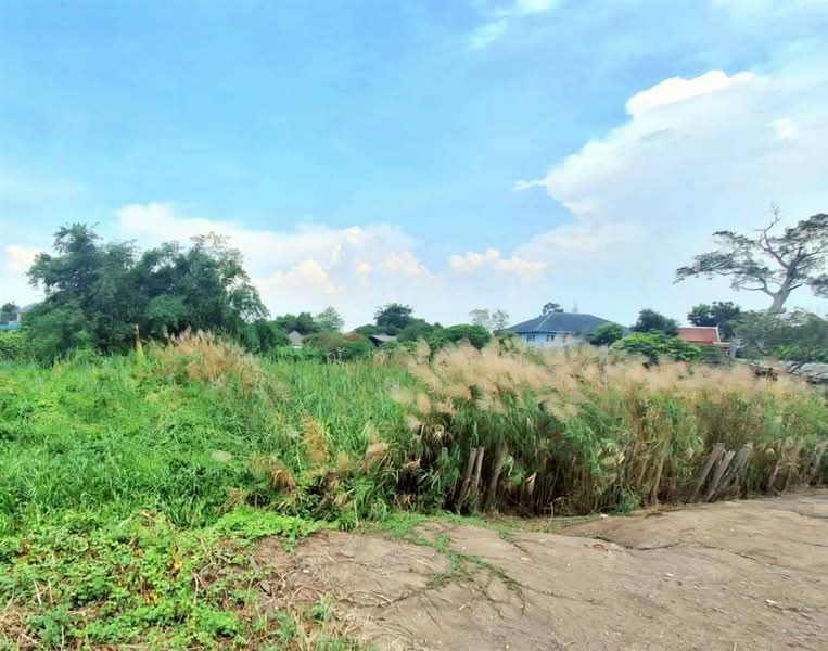 ที่ดินเปล่า 1463.9 ตร.ว. ที่ดินติดแม่น้ำเจ้าพระยา เมืองปทุมธานี ใกล้วัดเทียนถวาย ถนนบางบัวทอง-บางพูน, ปทุมธานี, ถนนบางบัวทอง-บางพูน, บ้านใหม่, เมืองปทุมธานี, ปทุมธานี, 5,852 ตร.ม., ที่ดิน ขาย, โดย คุณ ณัจภสิญาค์ ศุภควัษฐ์กาญกุล (ณิชชา), 500303636 - DDproperty.com
