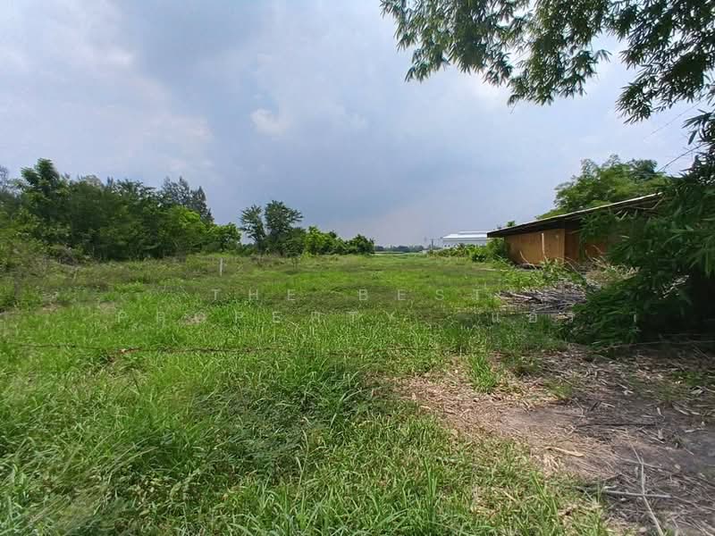 ที่ดินพนัสนิคม ชลบุรี, Chon Buri (Pattaya), Nong Khayat, Phanat Nikhom, Chon Buri (Pattaya), , 1,684 sqm, Land For Sale, by The Best Property แอร์, 500303639 - DDproperty.com