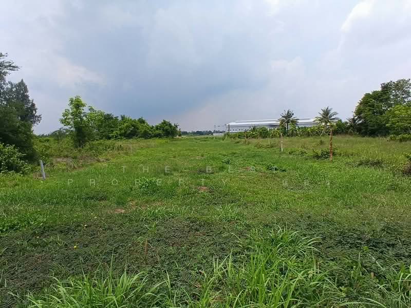 ที่ดินพนัสนิคม ชลบุรี, Chon Buri (Pattaya), Nong Khayat, Phanat Nikhom, Chon Buri (Pattaya), , 1,684 sqm, Land For Sale, by The Best Property แอร์, 500303639 - DDproperty.com