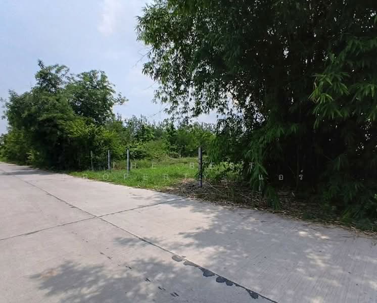 ที่ดินพนัสนิคม ชลบุรี, Chon Buri (Pattaya), Nong Khayat, Phanat Nikhom, Chon Buri (Pattaya), , 1,684 sqm, Land For Sale, by The Best Property แอร์, 500303639 - DDproperty.com