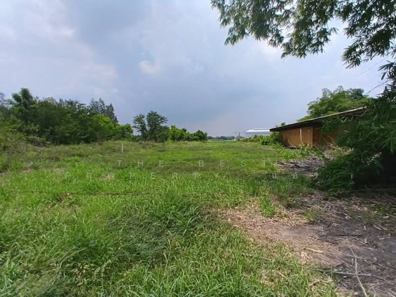 ที่ดินพนัสนิคม ชลบุรี, Chon Buri (Pattaya), Nong Khayat, Phanat Nikhom, Chon Buri (Pattaya), , 1,684 sqm, Land For Sale, by The Best Property แอร์, 500303639 - DDproperty.com