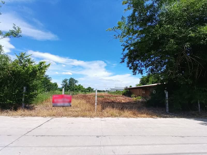 ที่ดินพนัสนิคม ชลบุรี, Chon Buri (Pattaya), Nong Khayat, Phanat Nikhom, Chon Buri (Pattaya), , 1,684 sqm, Land For Sale, by The Best Property แอร์, 500303639 - DDproperty.com