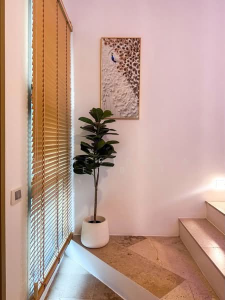 Eva town, Phuket, Wichit, Muang Phuket, Phuket, 2 Bedrooms, 110 sqm, Townhouse For Rent, by Primeglobolasset best, 500303640 - DDproperty.com