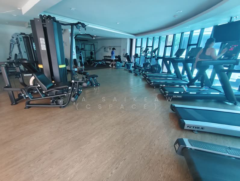 NS Tower Central City Bangna : เอ็นเอส ทาวเวอร์ เซ็นทรัล ซิตี้ บางนา, กรุงเทพ, 19-191 บางนา-ตราด, บางนาเหนือ, บางนา, กรุงเทพ, 230 ตร.ม., คอนโด ขาย, โดย Sea Saikeaw (Cspace), 500303782 - DDproperty.com