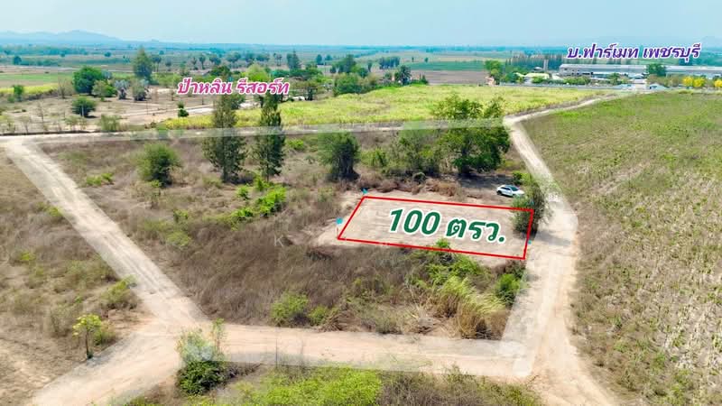 land for sell, Phetchaburi, Huai Sai Nua, Cha-Am, Phetchaburi, , 400 sqm, Land For Sale, by K.เสือ, 500303807 - DDproperty.com