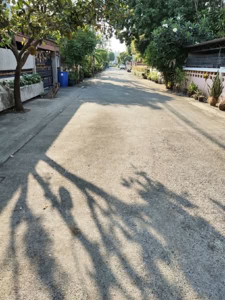 3-BR House, Bangkok, Saphan Song, Wang Thonglang, Bangkok, 3 Bedrooms, 300 sqm, Single Detached House For Sale, by Pemika Aukkaraleekul, 500303810 - DDproperty.com
