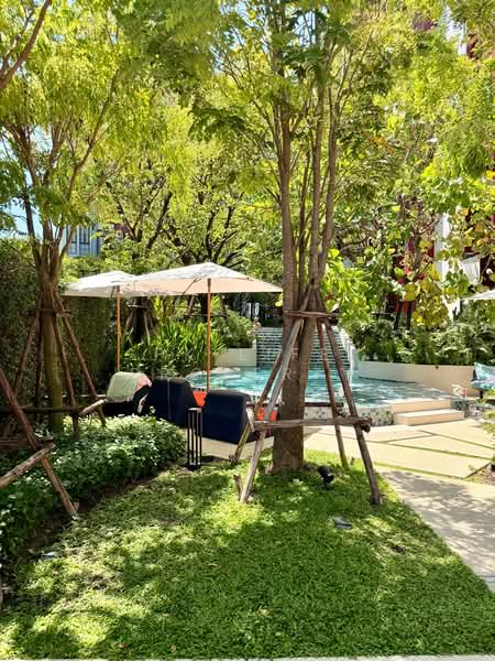 The Base Bukit Phuket : เดอะ เบส บูกิต, ภูเก็ต, 12 ถ.วิชิตสงคราม, วิชิต, เมืองภูเก็ต, ภูเก็ต, 30 ตร.ม., คอนโด ให้เช่า, โดย PK LIFE Property, 500303888 - DDproperty.com