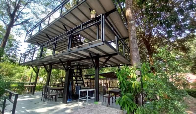 Sarika-Nakhon Nayok, Nakhon Nayok, Sarika, Muang Nakhon Nayok, Nakhon Nayok, , 9,532 sqm, Land For Sale, by ชนะชาติ นนท์ตา, 500303892 - DDproperty.com