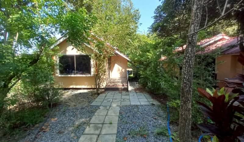 Sarika-Nakhon Nayok, Nakhon Nayok, Sarika, Muang Nakhon Nayok, Nakhon Nayok, , 9,532 sqm, Land For Sale, by ชนะชาติ นนท์ตา, 500303892 - DDproperty.com