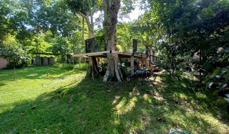 Sarika-Nakhon Nayok, Nakhon Nayok, Sarika, Muang Nakhon Nayok, Nakhon Nayok, , 9,532 sqm, Land For Sale, by ชนะชาติ นนท์ตา, 500303892 - DDproperty.com