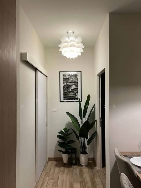 Niche Mono Sukhumvit-Bearing : นิช โมโน สุขุมวิท - แบริ่ง, สมุทรปราการ, ซอย สุขุมวิท 70, สำโรงเหนือ, เมืองสมุทรปราการ, สมุทรปราการ, 50 ตร.ม., คอนโด ให้เช่า, โดย Pawanrat Panchawanon, 500304034 - DDproperty.com