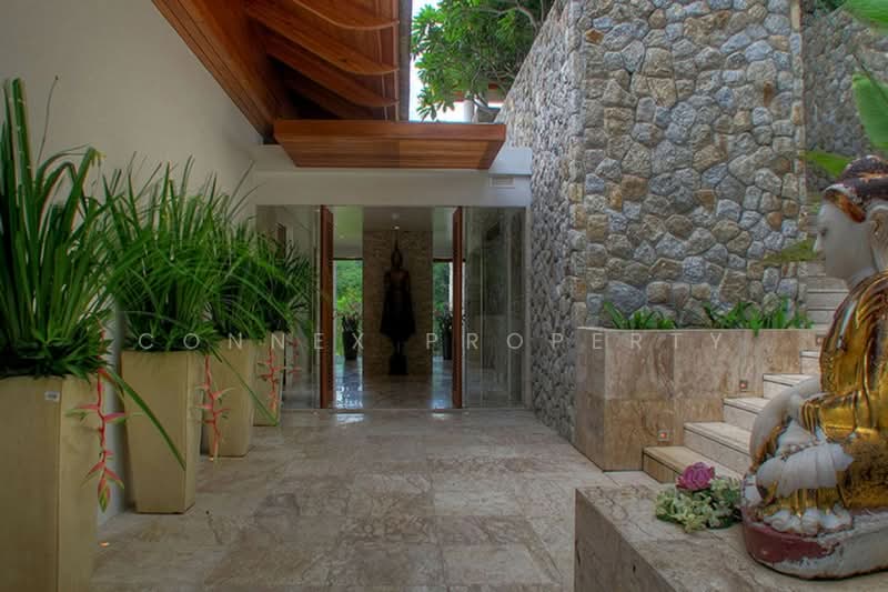 Villa Minh, Phuket, กมลา, Kammala, Kathu, Phuket, , 21 sqm, Shophouse For Sale, by Connex Property, 500304053 - DDproperty.com