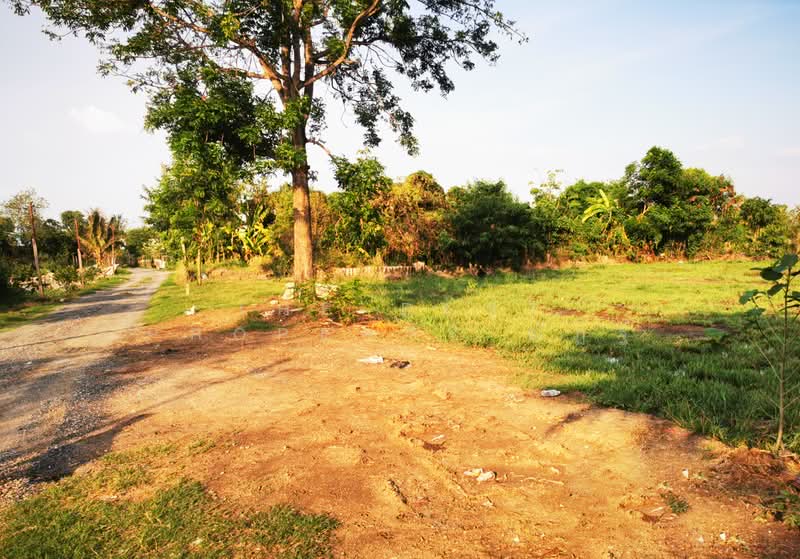 ที่ดินบางคูวัด ปทุมธานี, ปทุมธานี, บางคูวัด, เมืองปทุมธานี, ปทุมธานี, 1,596 ตร.ม., ที่ดิน ขาย, โดย The Best Property ณัฏฐ์, 500304074 - DDproperty.com