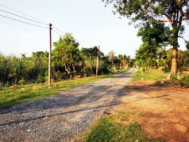 ที่ดินบางคูวัด ปทุมธานี, Pathum Thani, Bang Khu Wat, Muang Pathum Thani, Pathum Thani, , 1,596 sqm, Land For Sale, by The Best Property ณัฏฐ์, 500304074 - DDproperty.com