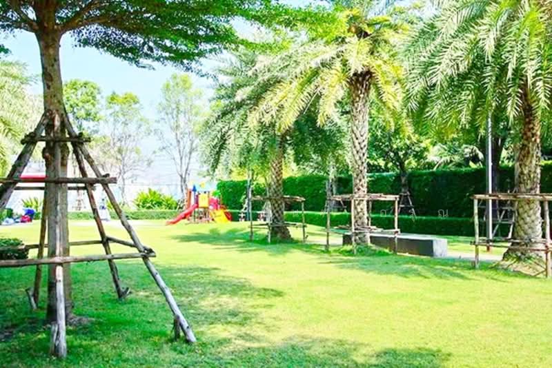 ไม่พบโครงการ, Bangkok, บางแค กำนันแม้น กัลปพฤกษ์, Bang Wa, Phasi Charoen, Bangkok, 3 Bedrooms, 230 sqm, Townhouse For Rent, by ณัฐพงศ์ สุนทรอรุณ, 500304147 - DDproperty.com