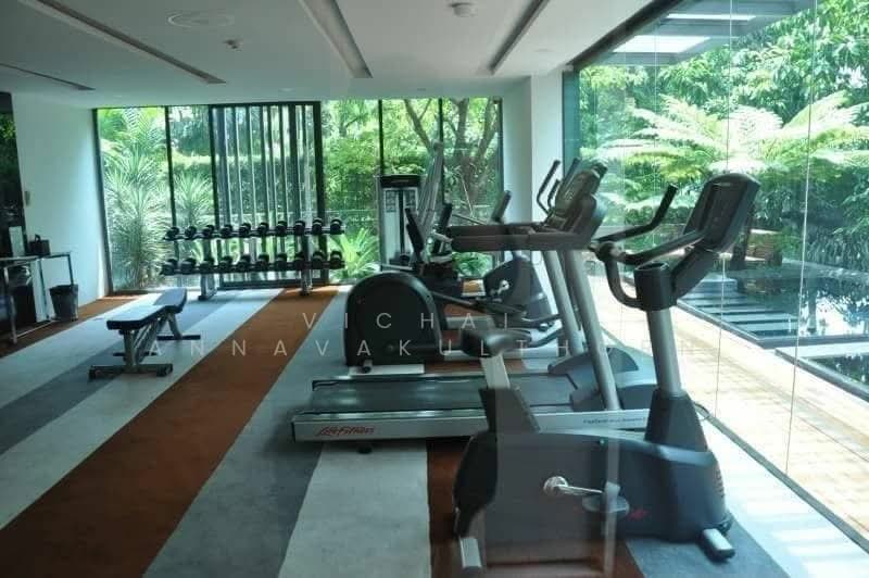 IDEO Morph 38, Bangkok, 88 Sukhumvit Road, Phra Kanong, Khlong Toei, Bangkok, 1 Bedroom, 34 sqm, Condo For Rent, by Vichai Annavakulthorn, 500304212 - DDproperty.com