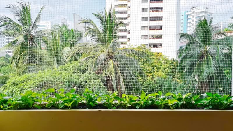 Prestige Towers : เพรสทีจ ทาวเวอร์, กรุงเทพ, 168 ซอยสุขุมวิท 23, คลองเตยเหนือ, วัฒนา, กรุงเทพ, 174 ตร.ม., คอนโด ขาย, โดย Suchada Yodyiem, 500304237 - DDproperty.com