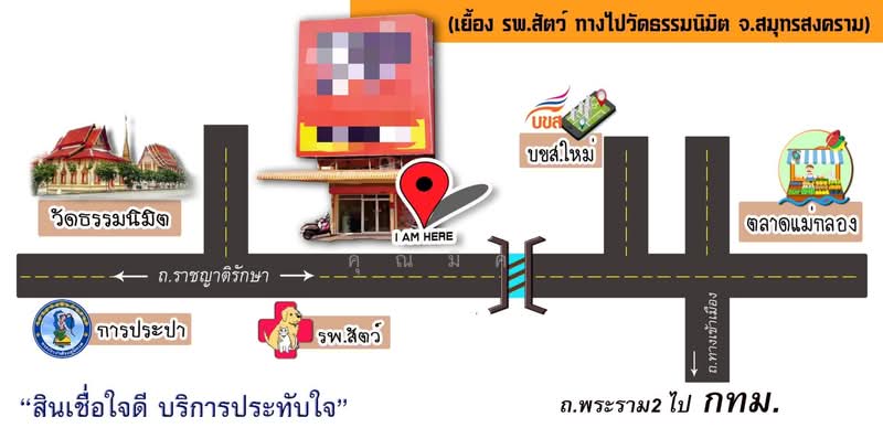 ให้เช่าอาคารพาณิชย์ 4 ชั้น 2 คูหา ต.แม่กลอง ทำเลดีแหล่งค้าขาย ใกล้ บขส.สมุทรสงคราม, Samut Songkhram, Mae Klong, Muang Samut Songkhram, Samut Songkhram, , 500 sqm, Shophouse For Rent, by คุณมิค, 500304336 - DDproperty.com