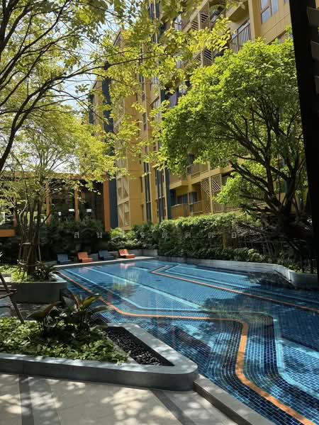 The Base Sukhumvit 50, Bangkok, Soi Roem Charoen 1, Sukhumvit 50 Road, Phra Kanong, Khlong Toei, Bangkok, 1 Bedroom, 35 sqm, Condo For Sale, by สนใจติดต่อ, 500304474 - DDproperty.com