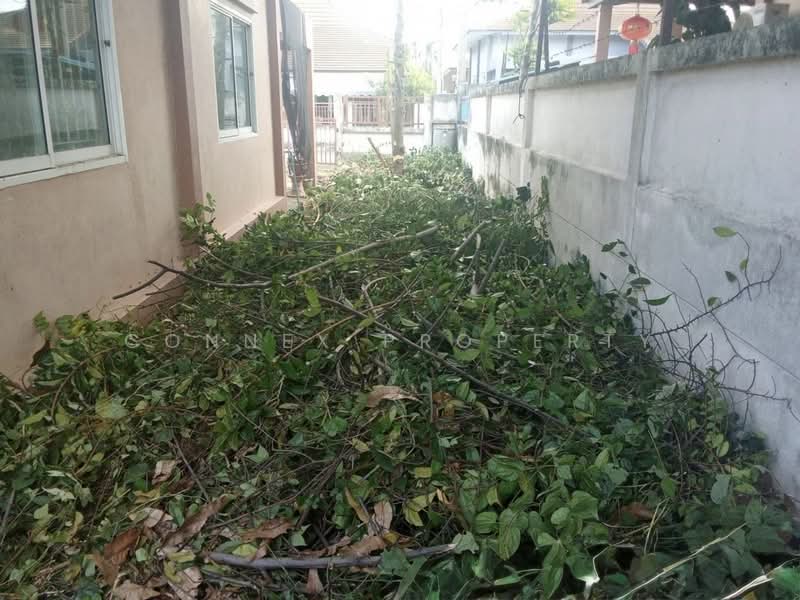 บ้านปันสุข, ระยอง, , มาบยางพร, ปลวกแดง, ระยอง, 72 ตร.ม., บ้านเดี่ยว ขาย, โดย Connex Property, 500304673 - DDproperty.com