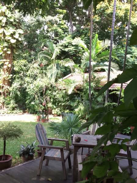 3-BR House, Bangkok, Bang Chak, Phra Khanong, Bangkok, 3 Bedrooms, 300 sqm, Single Detached House For Rent, by Boonraksa Sopak, 500304699 - DDproperty.com