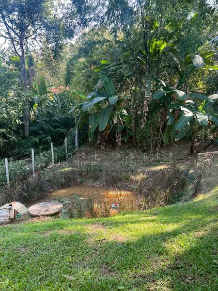 Detached house Mae Rim, Chiang Mai, Mae Ram, Mae Rim, Chiang Mai, 2 Bedrooms, 190 sqm, Single Detached House For Rent, by Shori Asset Group Co., Ltd., 500304929 - DDproperty.com