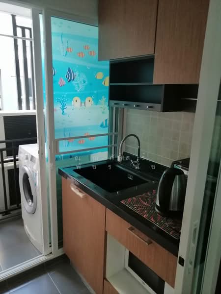 Regent Home Sukhumvit 81, Bangkok, Soi Sukhumvit 81, Suan Luang, Suan Luang, Bangkok, 1 Bedroom, 28 sqm, Condo For Rent, by ปัณณภัสร์ ศรีพัชรพัชร์, 500305190 - DDproperty.com