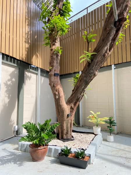 4-Story Townhouse for Rent in Ekkamai, near BTS Skytrain (SPSAD3981), Bangkok, Phra Kanong Nua, Watthana, Bangkok, 6 Bedrooms, 450 sqm, Townhouse For Rent, by Agent Pla, 500305294 - DDproperty.com