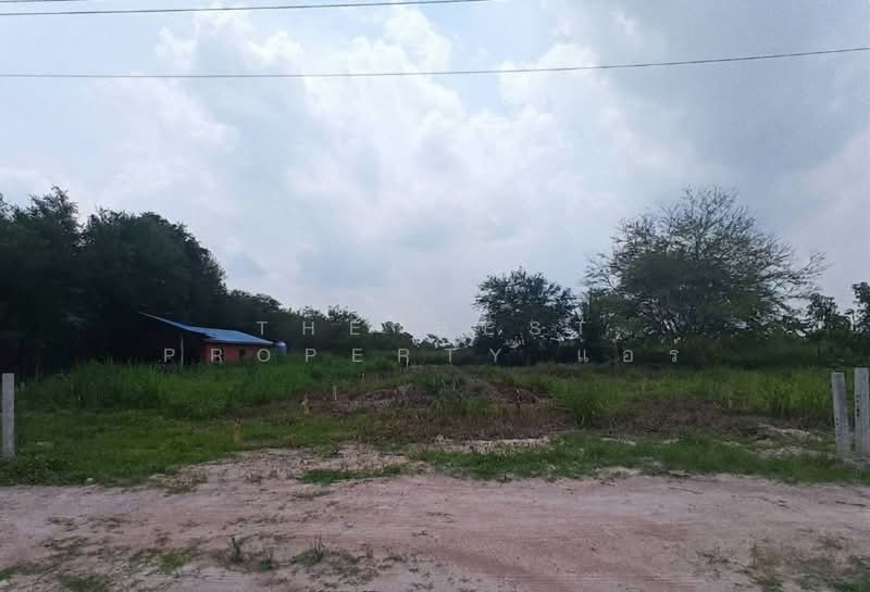ที่ดินบ้านบึง ชลบุรี, ชลบุรี, บ้านบึง, ชลบุรี, 400 ตร.ม., ที่ดิน ขาย, โดย The Best Property แอร์, 500305371 - DDproperty.com