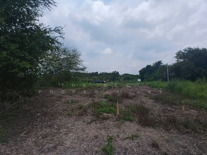 ที่ดินบ้านบึง ชลบุรี, Chon Buri (Pattaya), Ban Bung, Chon Buri (Pattaya), , 400 sqm, Land For Sale, by The Best Property แอร์, 500305371 - DDproperty.com