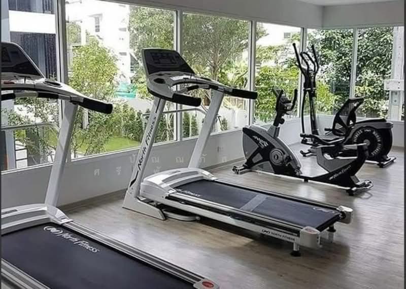 Regent Home Sukhumvit 81, Bangkok, Soi Sukhumvit 81, Suan Luang, Bangkok, 1 Bedroom, 28 sqm, Condo For Rent, by ปัณณภัสร์ ศรีพัชรพัชร์, 500305456 - DDproperty.com