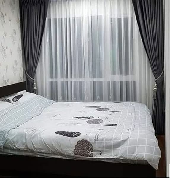 Regent Home Sukhumvit 81, Bangkok, Soi Sukhumvit 81, Suan Luang, Bangkok, 1 Bedroom, 28 sqm, Condo For Rent, by ปัณณภัสร์ ศรีพัชรพัชร์, 500305456 - DDproperty.com