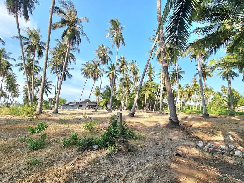 Land for sale in Prachuap Khiri Khan, 3-0-23 rai (approximately 1.2 acres), near Khlong Wan Beach, Prachuap Khiri Khan, Khlong Wan, Muang Prachaubkirikhan, Prachuap Khiri Khan, , 4,892 sqm, Land For Sale, by Fareeda Thaipatan, 500305466 - DDproperty.com